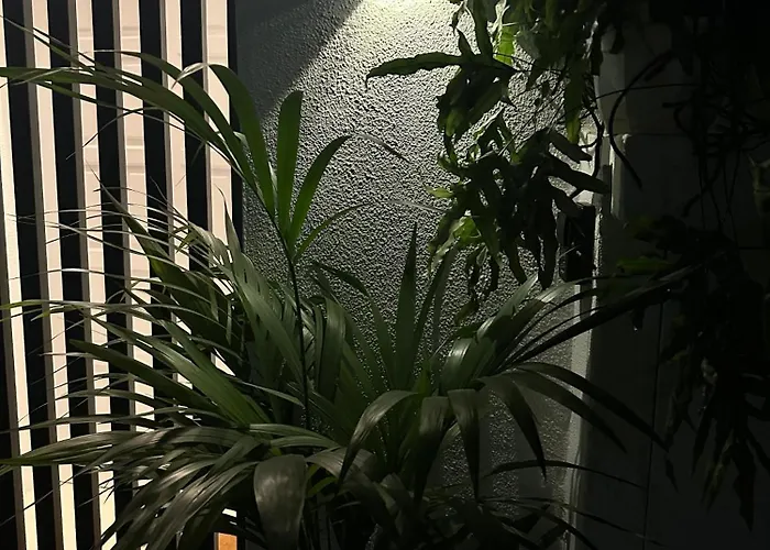 Appartement Into The Blue