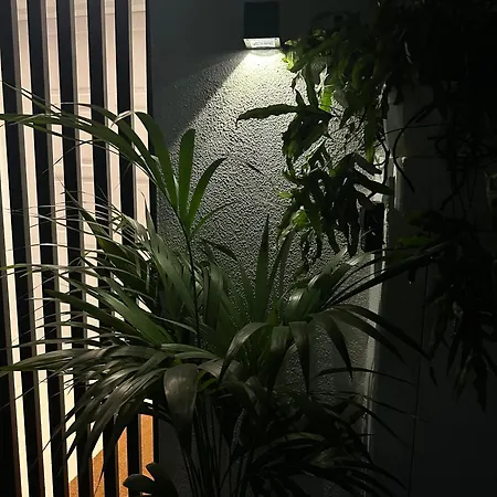 Apartment Into The Blue